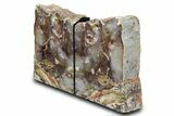 Tall Petrified Wood Bookends - Nevada #382145-2